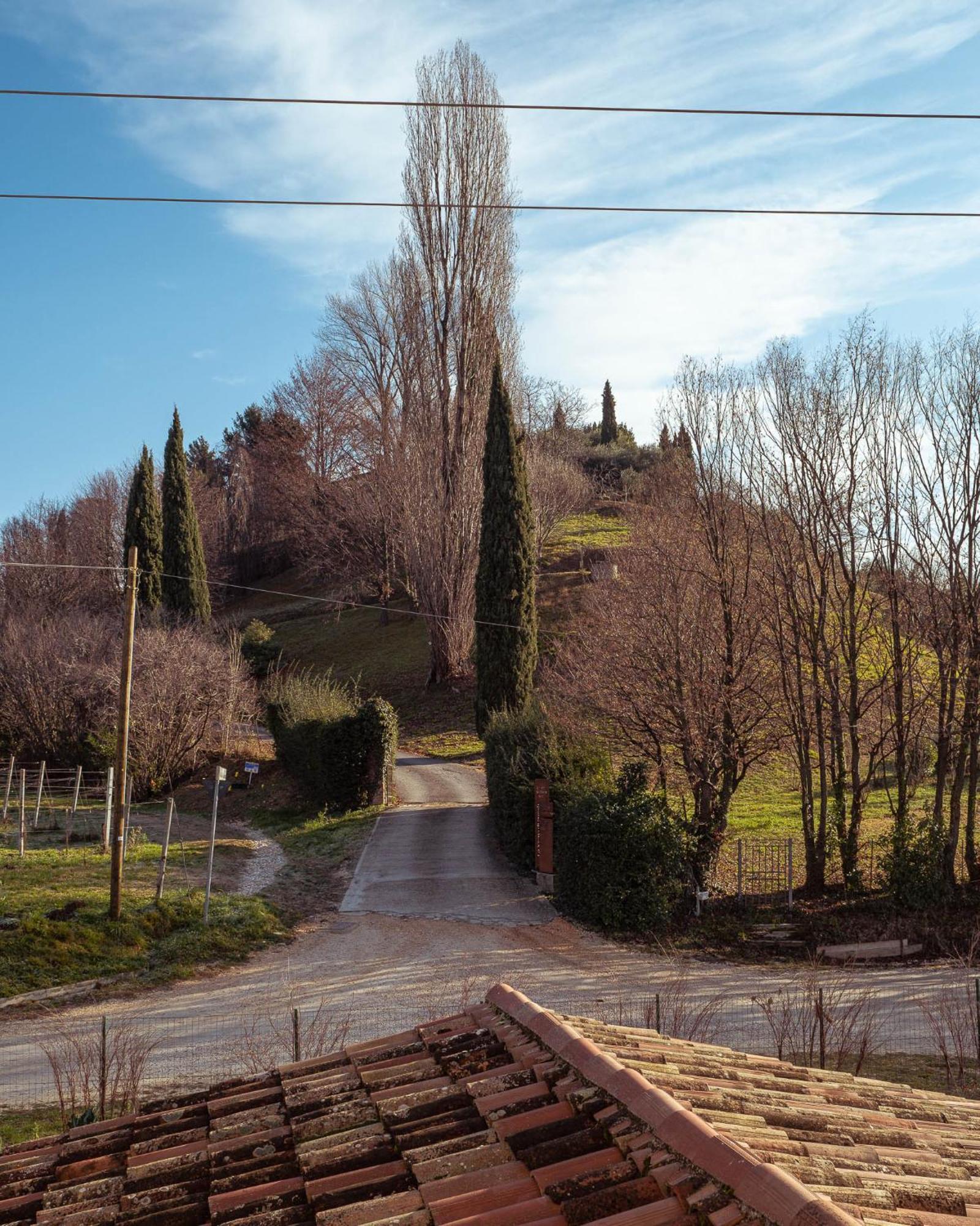 Agriturismo La Vigna Di Sarah Vittorio Veneto Kültér fotó